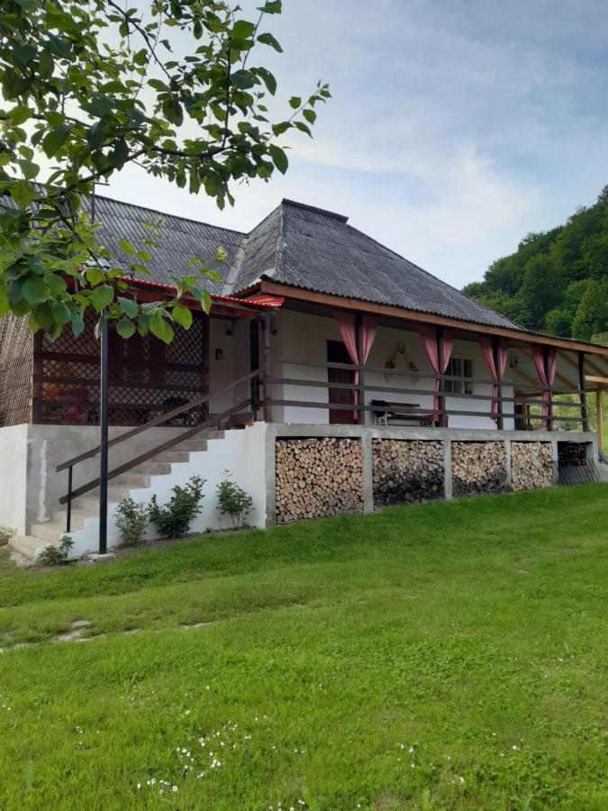 Vila Casa Dyasof Rohia Exteriér fotografie