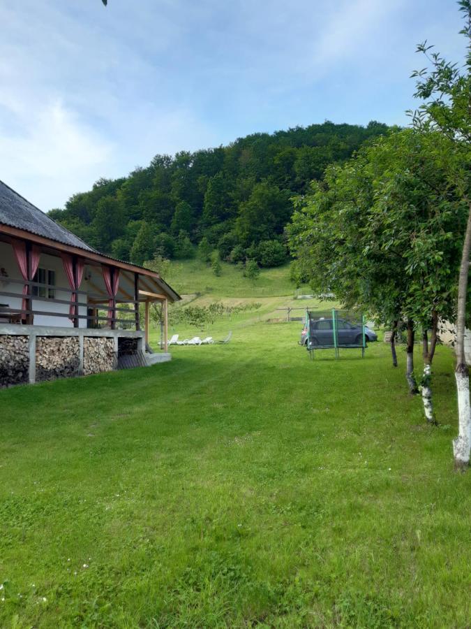 Vila Casa Dyasof Rohia Exteriér fotografie