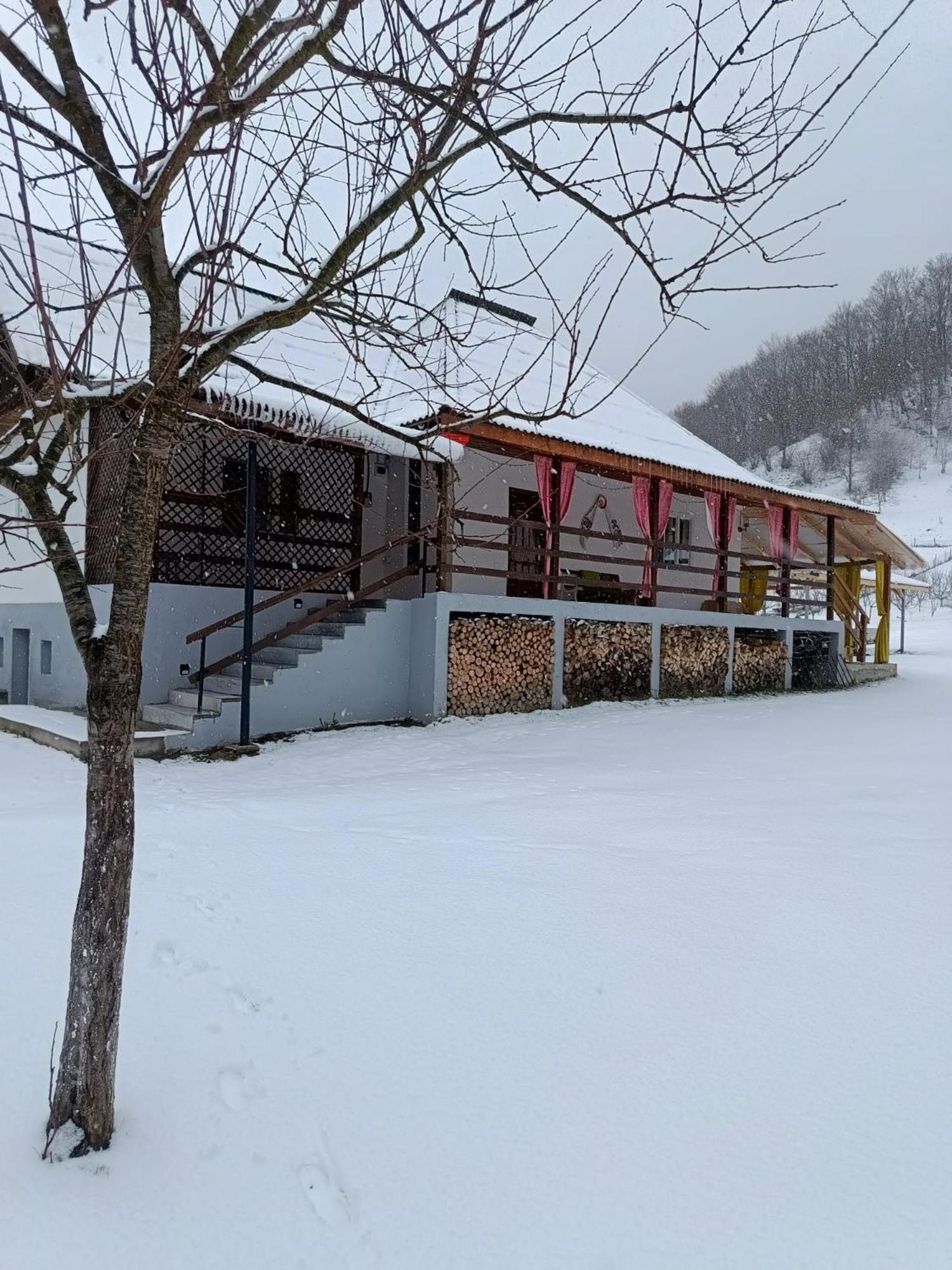 Vila Casa Dyasof Rohia Exteriér fotografie